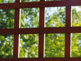 Come scegliere frangivento e grigliati 1378 0 Come scegliere frangivento e grigliati_ok